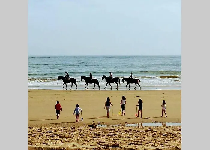 펜션 Loueurdappart - Maison Calme Entre Et Commerces A Pied La Baule